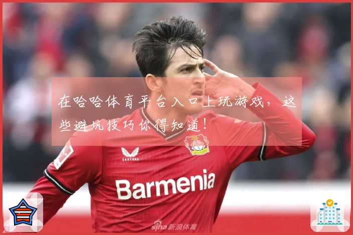 在哈哈体育平台入口上玩游戏，这些避坑技巧你得知道！