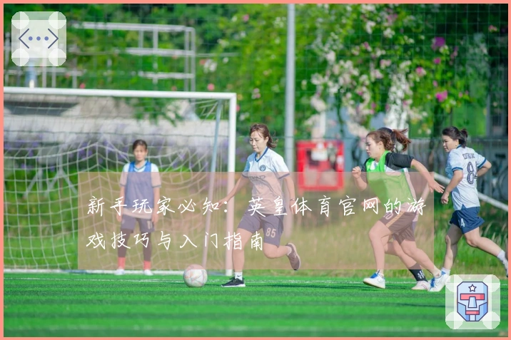 新手玩家必知：英皇体育官网的游戏技巧与入门指南