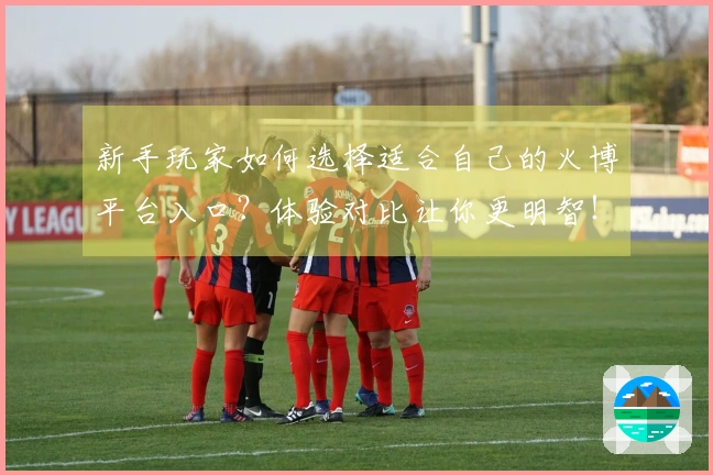 新手玩家如何选择适合自己的火博平台入口？体验对比让你更明智！