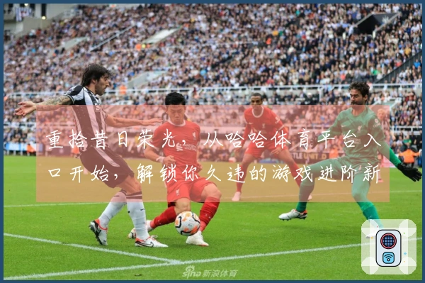 重拾昔日荣光，从哈哈体育平台入口开始，解锁你久违的游戏进阶新秘籍