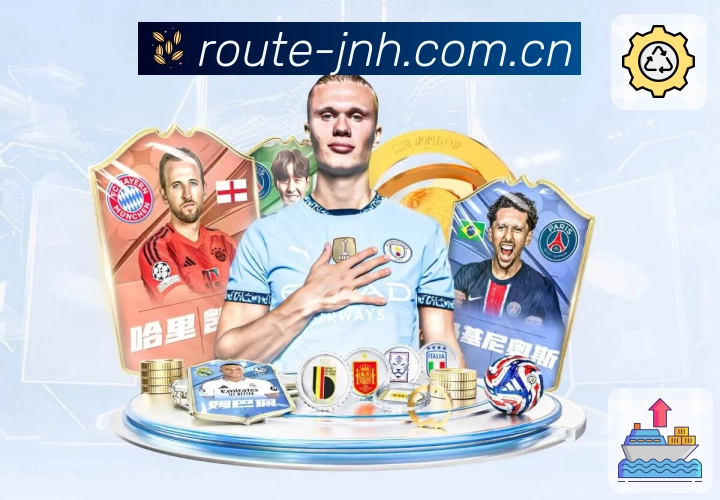 隐私保护流程示意